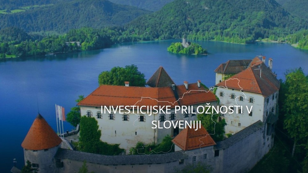 Razvojne agencije ostajajo ključne vstopne točke za investitorje